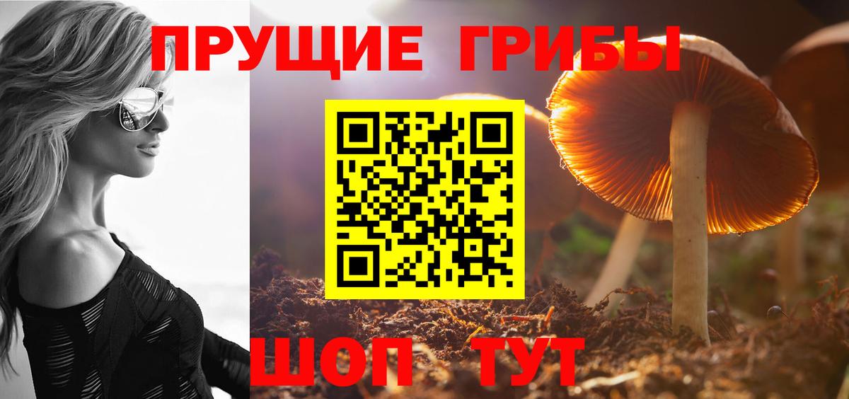 Галлюциногенные грибы GOLDEN TEACHER Тамбов