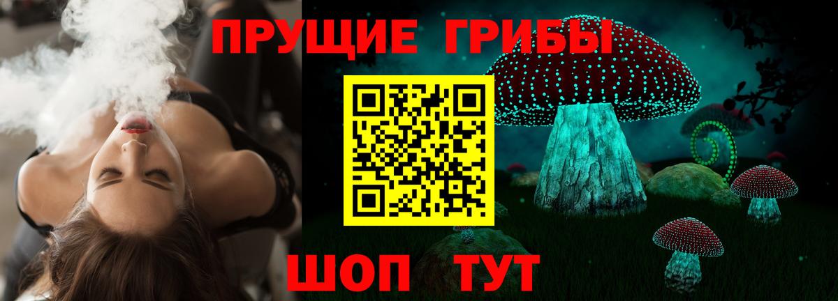 купить наркотик  Псилоцибиновые грибы мицелий  Вход с VPN  Тамбов 